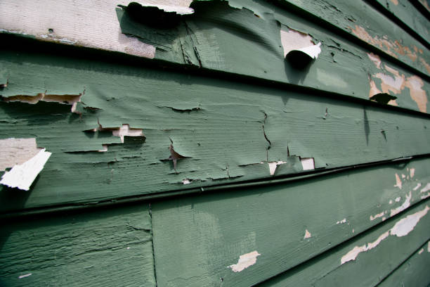 Best Historical Building Siding Restoration  in Lagrange, IN