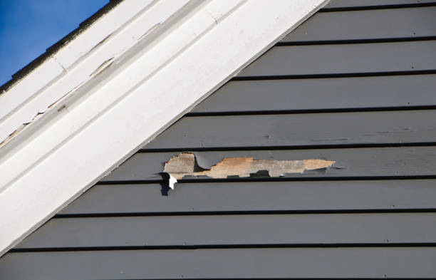 Best Custom Trim and Detailing for Siding  in Lagrange, IN